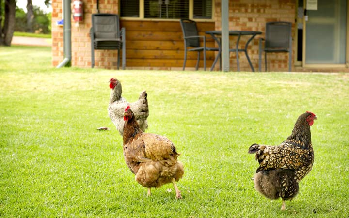 Family friendly accommodation in Margaret River